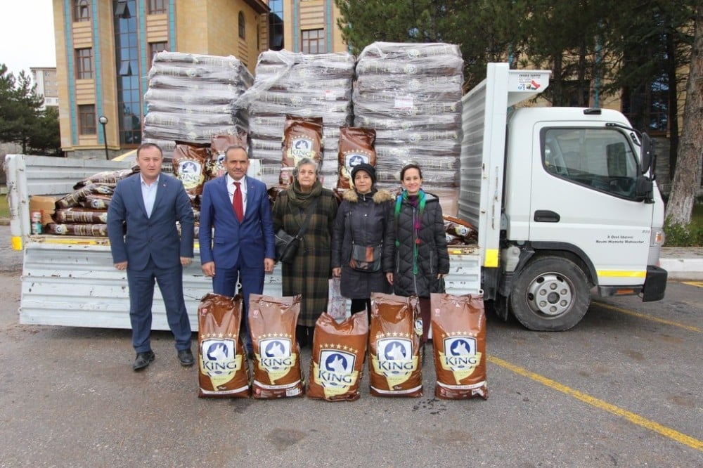 Kütahya İl Özel İdaresi sokak hayvanlarını unutmadı 