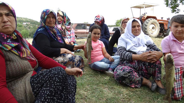 Kütahya Valisi Ahmet Hamdi Nayir: Balık ölümlerinin nedeni araştırılıyor