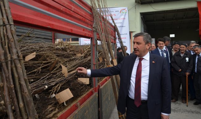 Kütahya’da çiftçilere fidan desteği