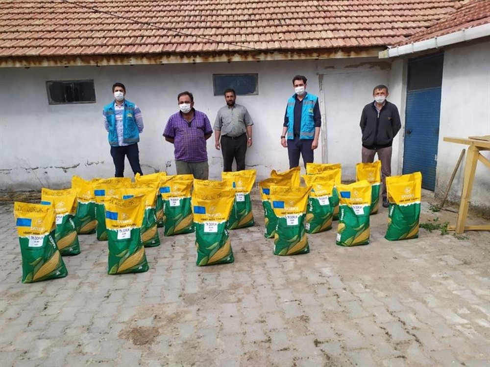 Kütahya’da çiftçilere yağlık ayçiçeği ve dane mısır tohumu desteği 