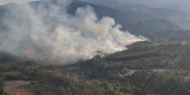 Kütahya'da çıkan orman yangını kontrol altına alındı
