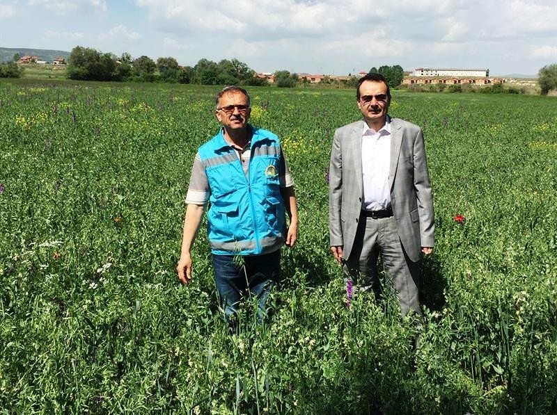 Kütahya’da ilk defa Zobarmix kaba yem bitkisi ekimi yapıldı 
