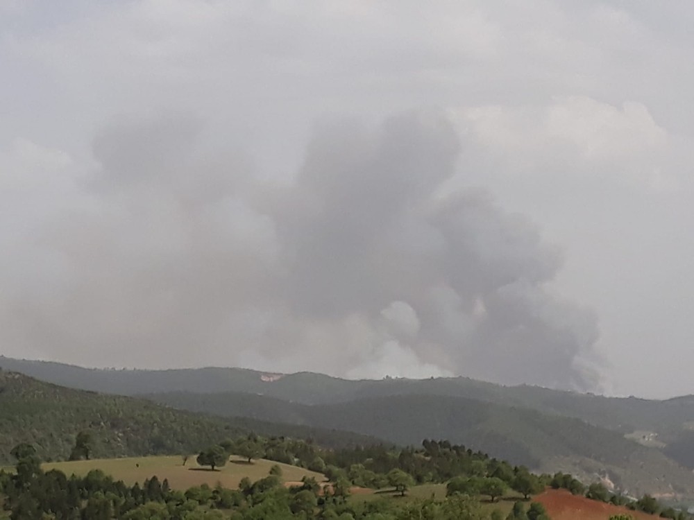 Kütahya’da orman yangını 