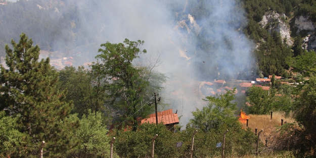 Kütahya'da ormanlık alanda çıkan yangına müdahale ediliyor