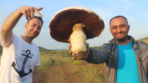 Kütahya'da taş zannetti yaklaşıp bakınca gözlerine inanamadı!