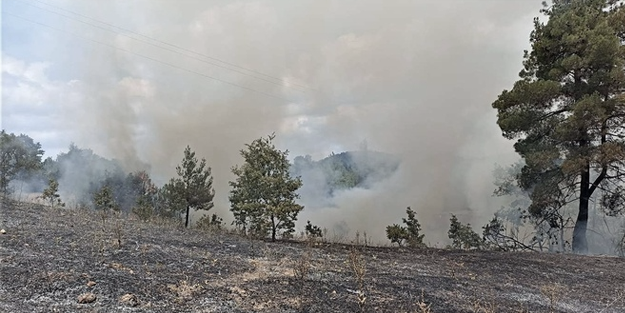 Kütahya'daki orman yangınına havadan ve karadan müdahale ediliyor