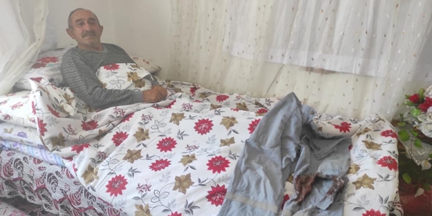 Kütahya'da yaşlı adama ayı dehşeti: Baktım kurtuluş yok, salavat getirmeye başlayınca...