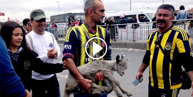 Kutlamalara 'keçi yavrusu' da katıldı