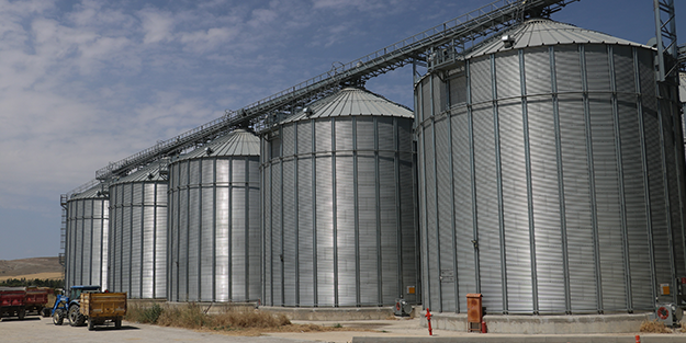 Kuyruklar oluştu ama yetmez! Buğday ambarında yeni rekor yükleniyor