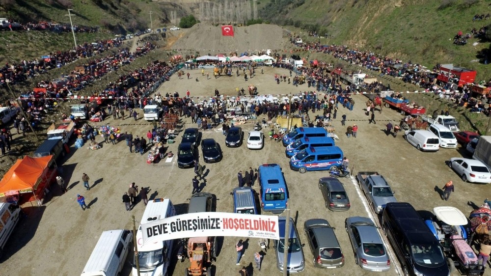 Kuyucak’ta develer depremzedeler yararına güreşti 