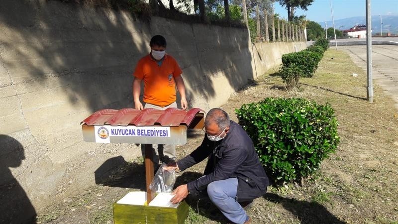 Kuyucak’ta sokak hayvanları unutulmadı 