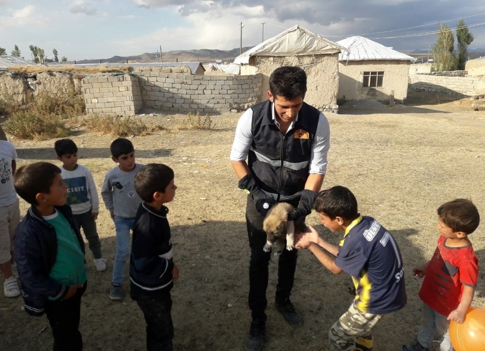 Kuyuda mahsur kalan yavru köpekler kurtarıldı 