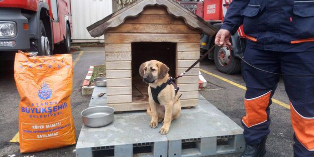 'Kuyu'nun hikayesi beyaz perdeye taşınıyor