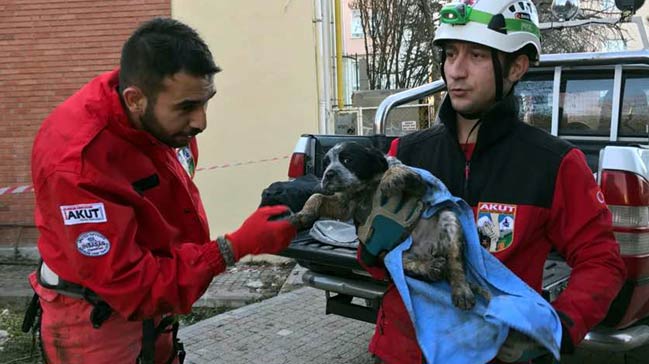 Kuyuya düşen bir yavru köpek daha kurtarıldı