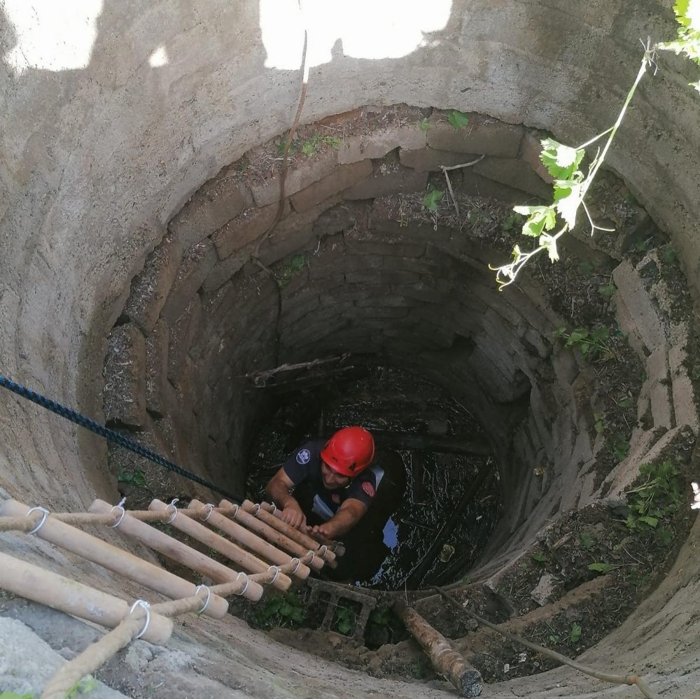Kuyuya düşen inek, itfaiye ekipleri tarafından kurtarıldı 