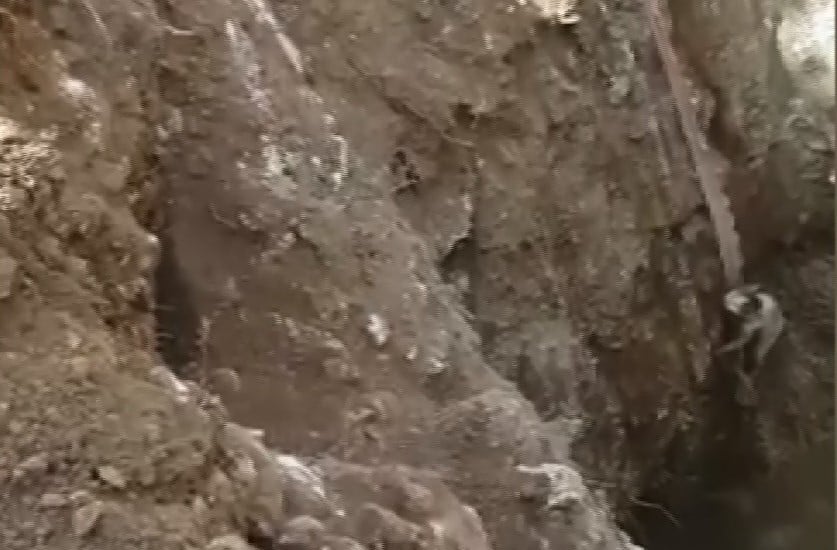 Kuyuya düşen kedi branda ile kurtarıldı 