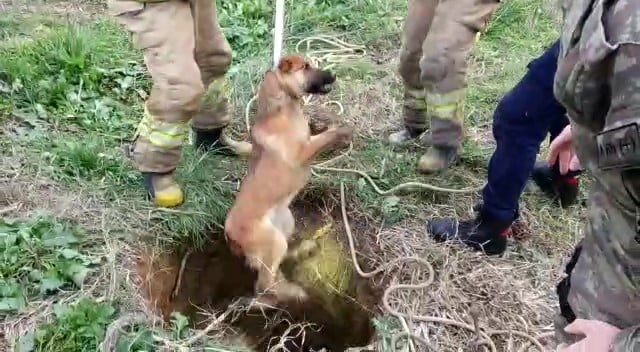 Kuyuya düşen köpeği kurtarma operasyonu kamerada 
