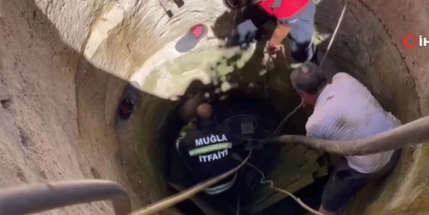 Kuyuya düşen porsuğu ekipler kurtardı