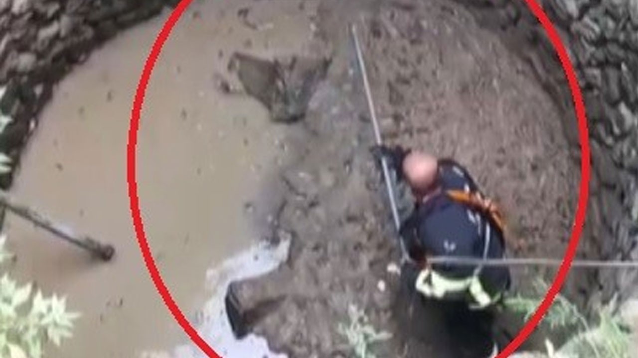 Kuyuya düşen tilkiyi itfaiye kurtardı