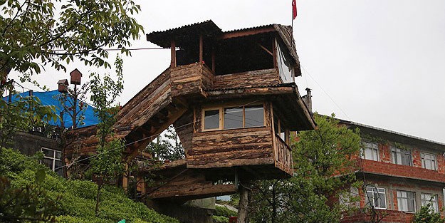 Yeğnine inat ceviz ağacına iki katlı ev yaptı