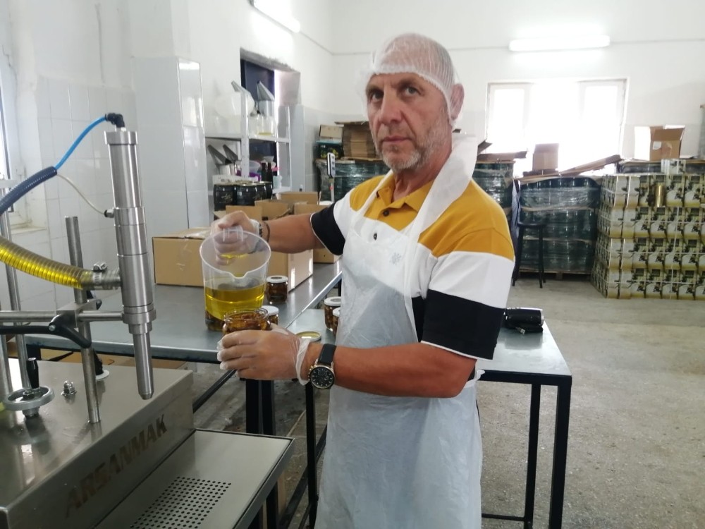Kuzey Ege zeytini Aydın’ın inciriyle birleşti, ortaya doyumsuz bir tat çıktı 