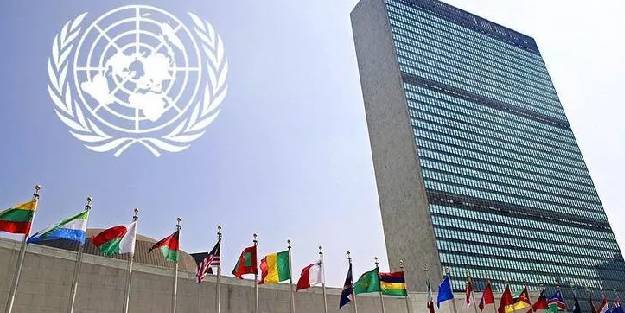 Kuzey Kore'den BM'nin insan hakları kararına tepki