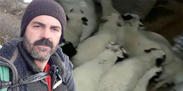 Kuzuların hareketleri sonrası telefonuna sarıldı! Saniyeler içinde deprem oldu