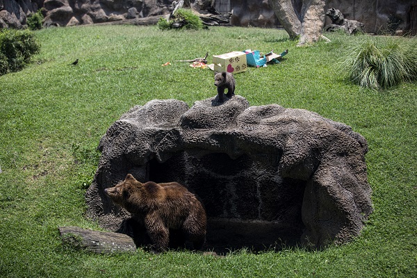  La Aurora Hayvanat Bahçesi'nde yaşam