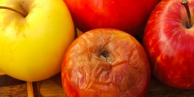 Âlâ Dergisi yanında Muallâ eki versin!