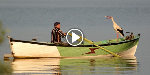 La Fontaine masallarını andıran dostluk!