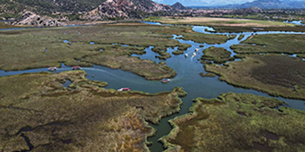 Labirent görünümlü Dalyan sazlıkları şaşırtıyor