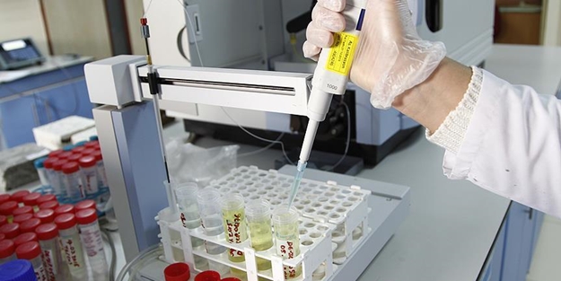 Laboratuvar ortamında trombosit üretildi