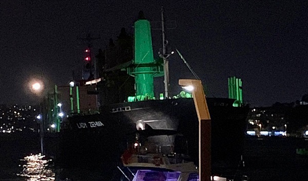 Lady Zehma gemisi nereye ait? Lady Zehma neden arızalandı?