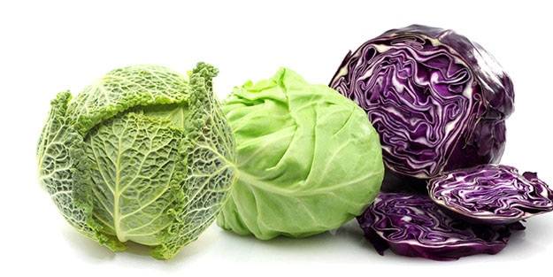 Lahana kanser hücresinin oluşması ve çoğalmasına karşı önleyici bir besin