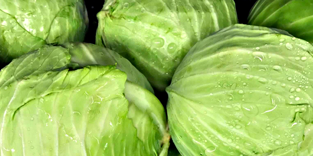 Lahana yağının faydaları nelerdir? Cildin üzerine sürerseniz...Estetik gibi duruyor! Gören yok artık diyor