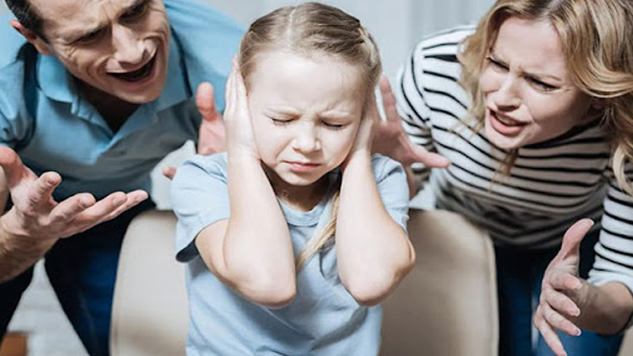 'Laik ebeveynler korkularında haklı'