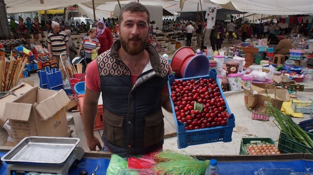 Lapseki kirazı 15 liradan tezgahta yerini aldı