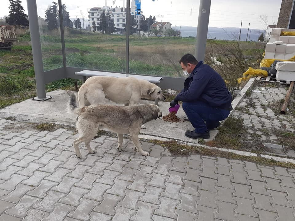 Lapseki’de sokak hayvanları unutulmadı 