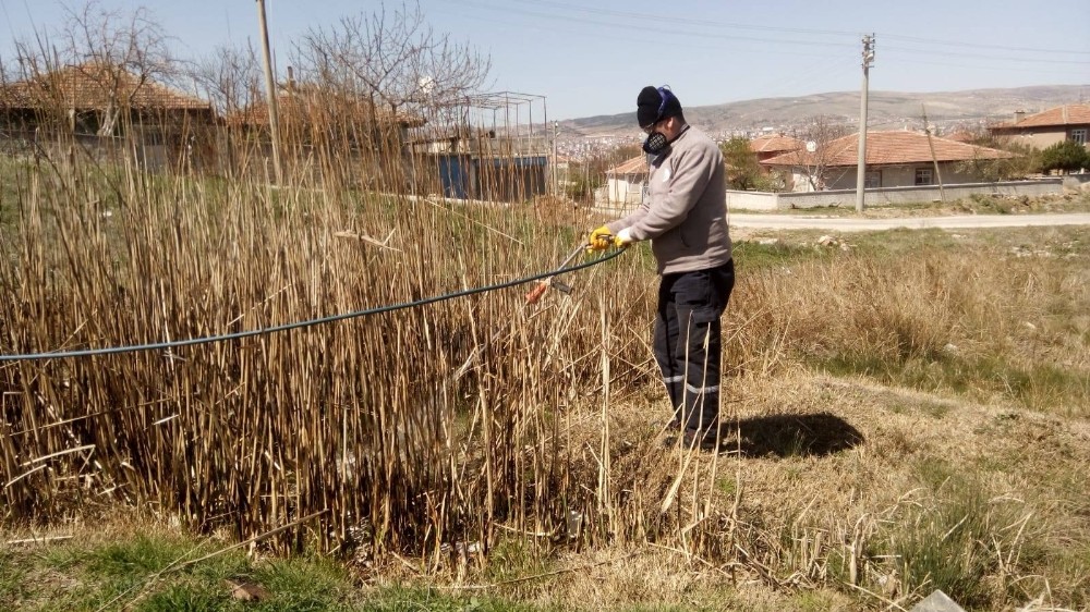 Larvalara karşılık mücadele başlatıldı 