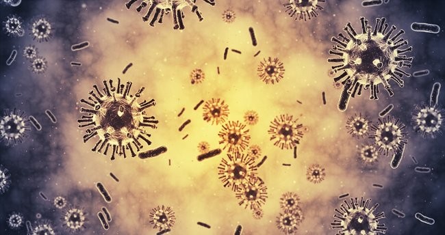 Lassa ateşi nedir, hangi yollarla bulaşıyor?