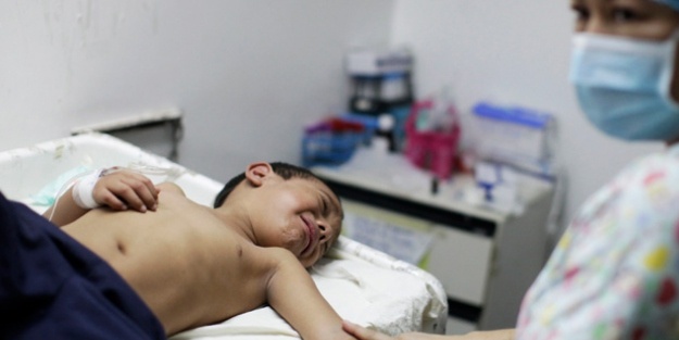 Latin Amerika'da tropikal virüs tehlikesi