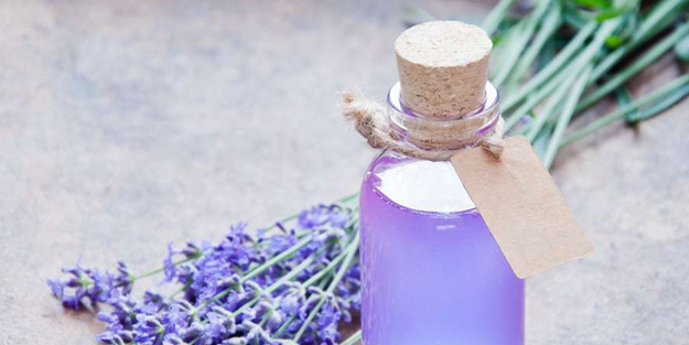 Lavanta yağının yararları nelerdir? Öyle bir faydaları çıktı ki şaşkına çeviriyor! Ünlü oldu