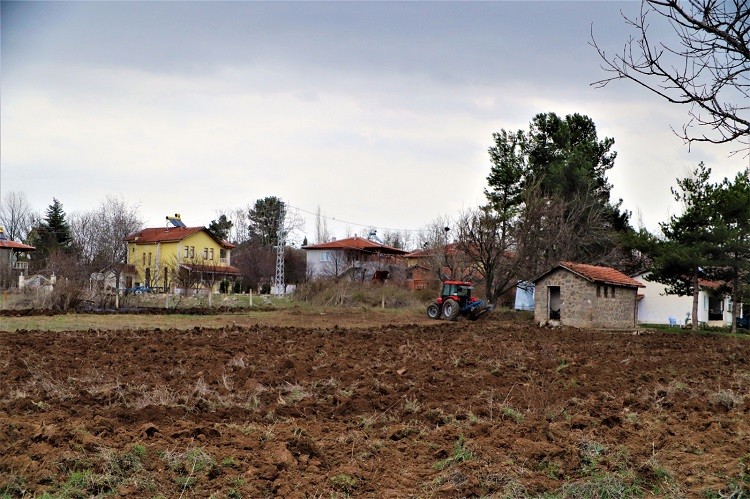 Lavanta Yetiştiriciliği Demonstrasyon Eğitim Bahçesi Projesi 