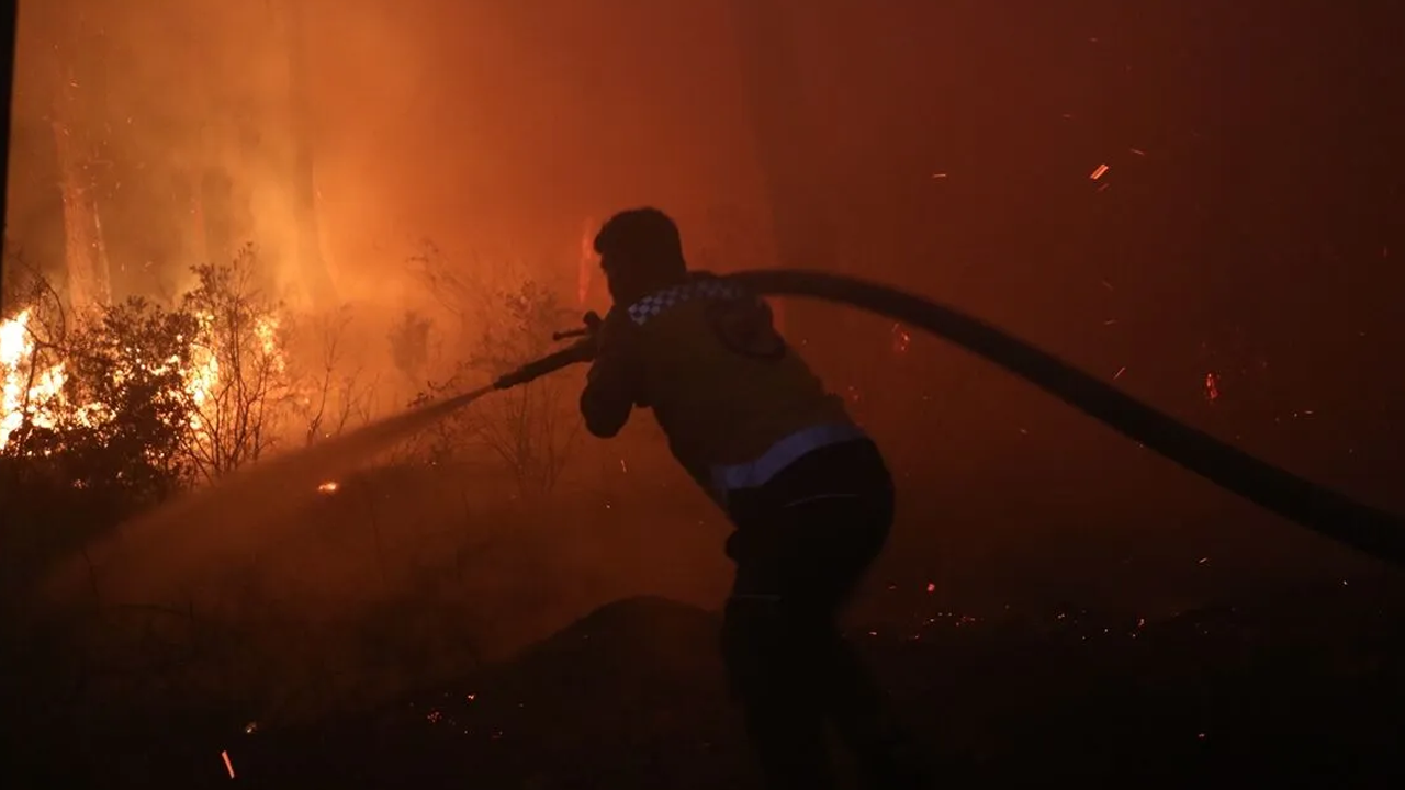 Lazkiye, Tartus ve Hama'da orman yangınları!