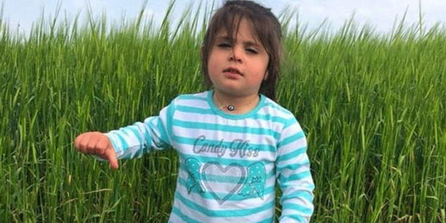 Leyla Aydemir cinayetinde dehşete düşüren otopsi raporu! 