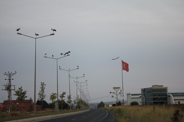 Leyleklere veda zamanı!