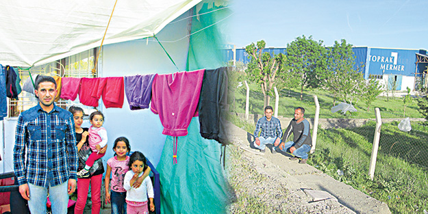 Lice fabrikasını geri istiyor