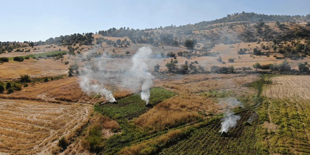 Lice’de dev operasyon! Milyarlarca lira değerinde uyuşturucu ele geçirildi