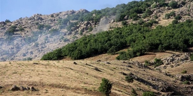 Lice'de silahlı PKK'lılar yakalandı