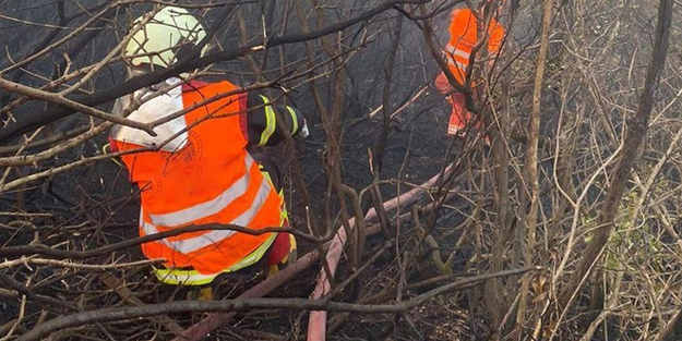Lice'deki orman yangınında sevindiren gelişme!